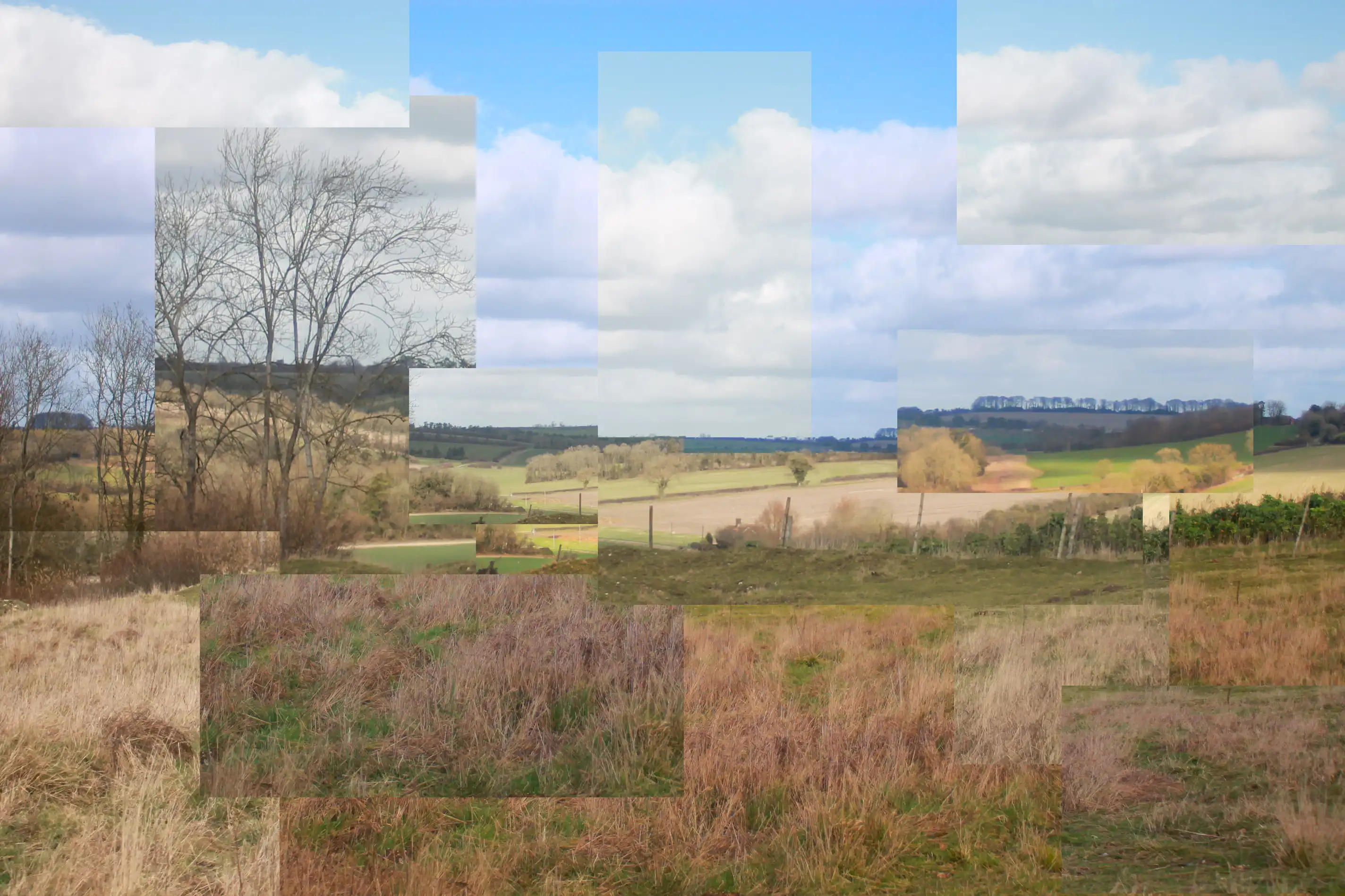 Cubism_Field_by_Chelsea_Morgan