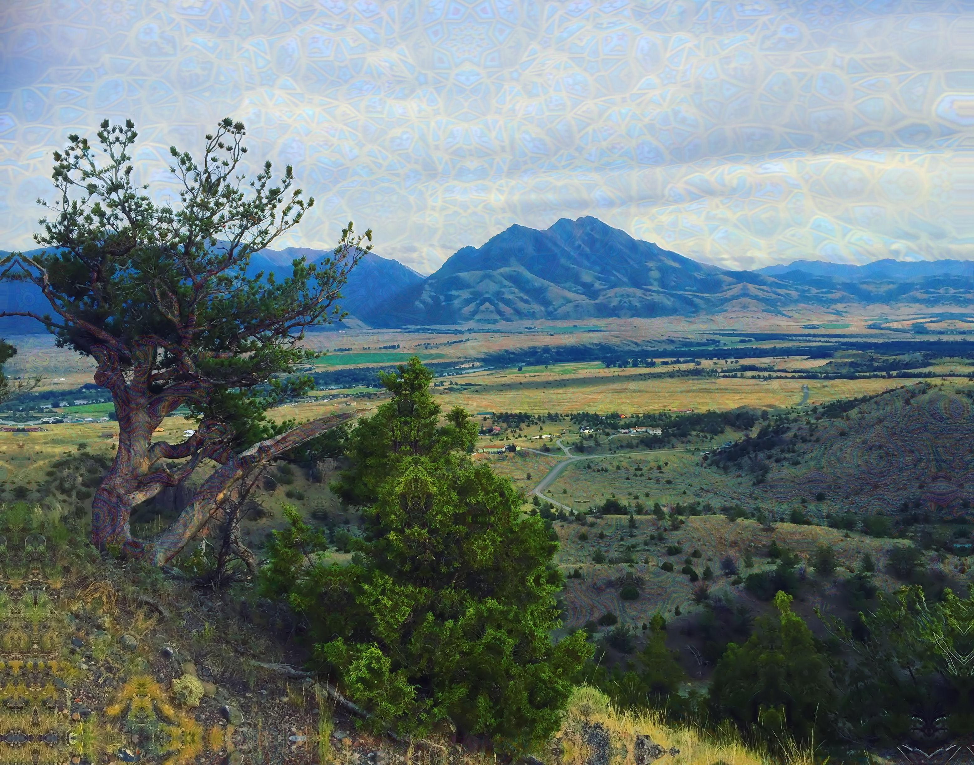 paradise_valley