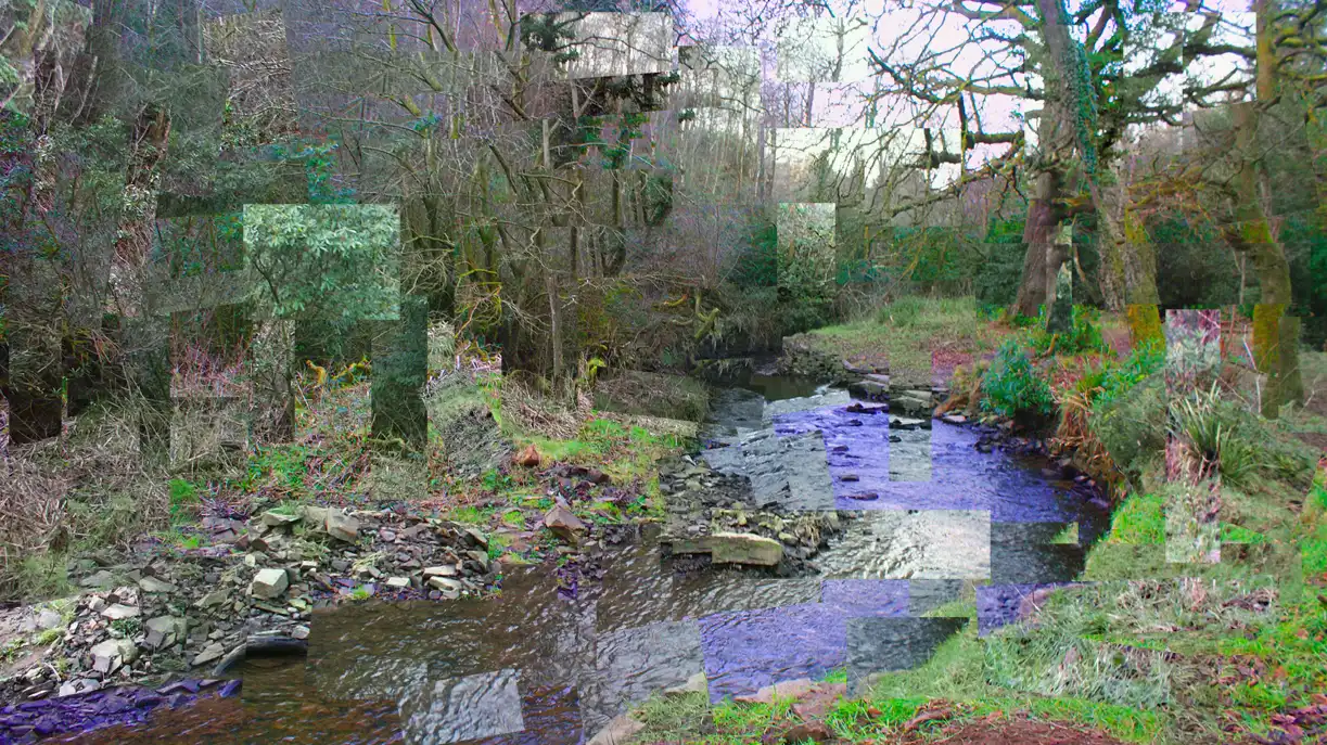 Cubism_woods_by_Chelsea_Morgan