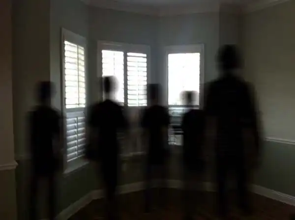 shadow gang
