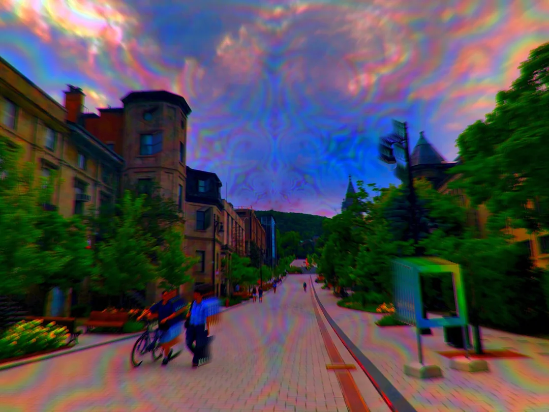 strollwithlucy