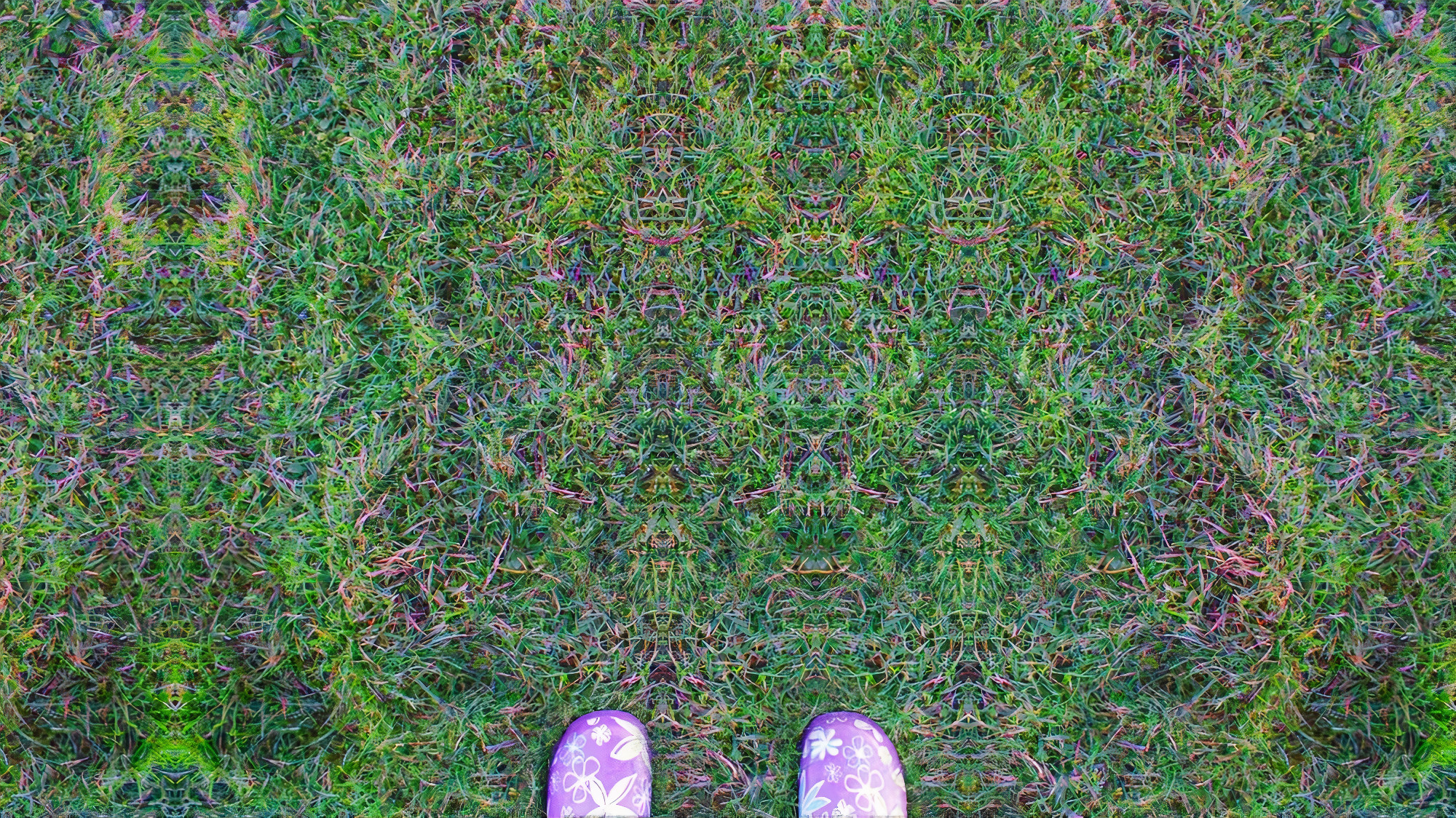 grass_photos_v2_x2