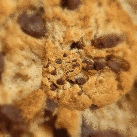 cookie